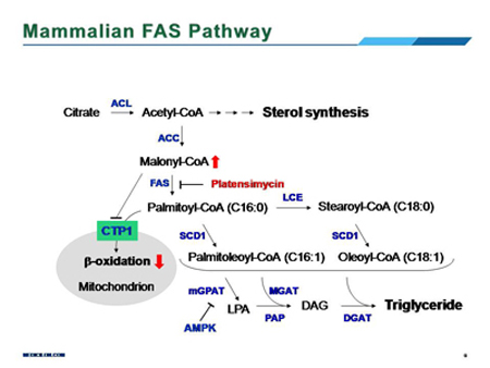 首页- 英国立博ladbrokes公司官网