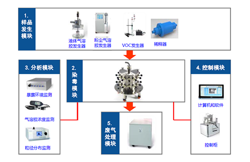 图2 幼动物口鼻吸入露出系统四大？ 