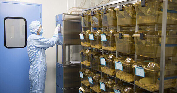 SPF级尝试动物房，专业合规的尝试治理系统.jpg