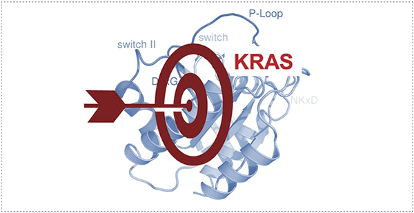 靶向不成成药靶点KRAS.png