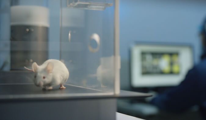 立博ladbrokes助力开悦性命针对RNA解旋酶的幼分子新药获FDA临床尝试许可（IND)