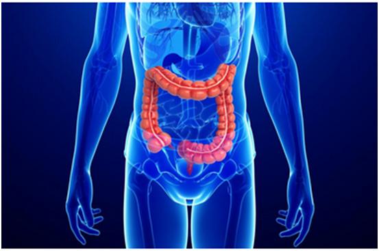 立博ladbrokes一站式助力 | 宝太生物首个中美双报创新药获批